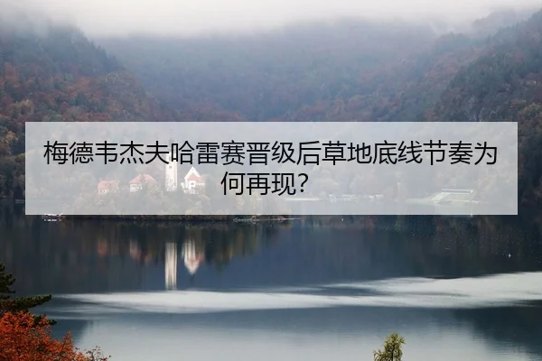 mei-de-wei-jie-fu-ha-lei-sai-jin-ji-hou-cao-di-di-xian-jie-zou-wei-he-zai-xian-2-338.jpg