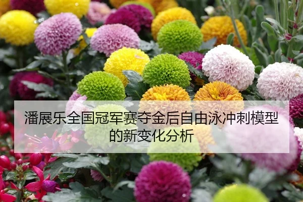 潘展乐全国冠军赛夺金后自由泳冲刺模型的新变化分析
