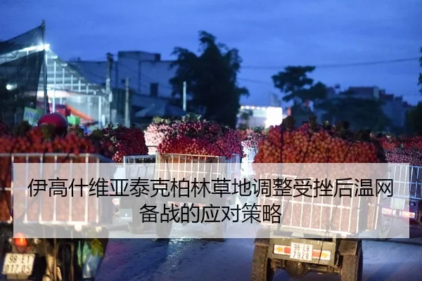 伊高什维亚泰克柏林草地调整受挫后温网备战的应对策略