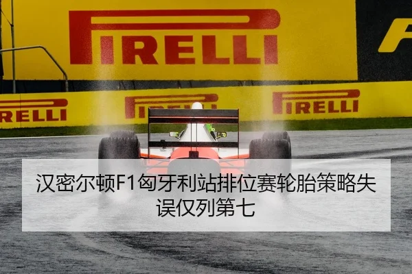 han-mi-er-dun-xiong-ya-li-zhan-pai-wei-sai-lun-tai-ce-lve-shi-wu-jin-lie-di-qi-2-478.jpg