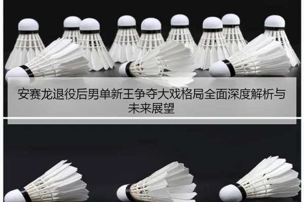 an-sai-long-tui-yi-hou-nan-dan-xin-wang-zheng-duo-da-xi-ge-ju-quan-mian-shen-du-jie-xi-yu-wei-lai-zhan-wang-3-244.jpg