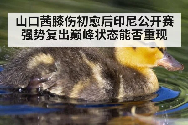 山口茜膝伤初愈后印尼公开赛强势复出巅峰状态能否重现