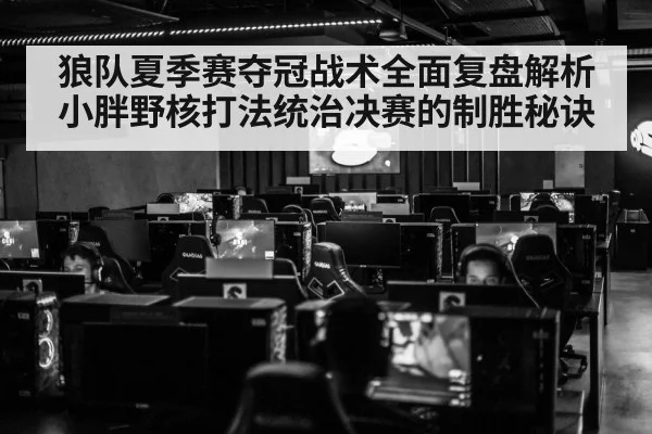 狼队夏季赛夺冠战术全面复盘解析小胖野核打法统治决赛的制胜秘诀